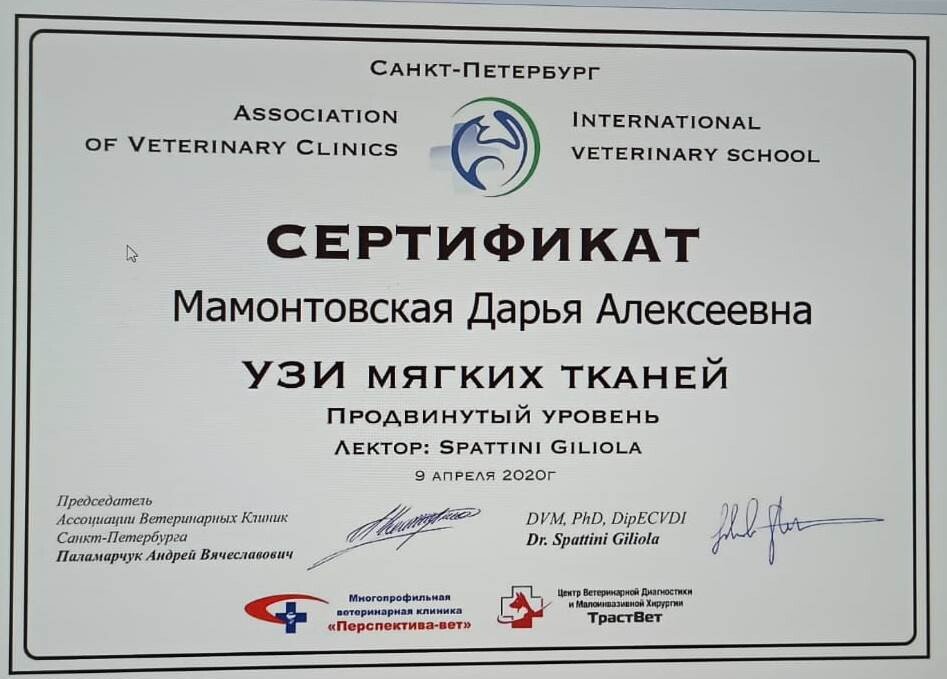 Документ или сертификат