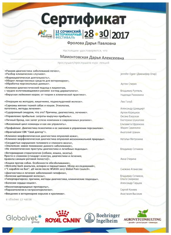 Документ или сертификат