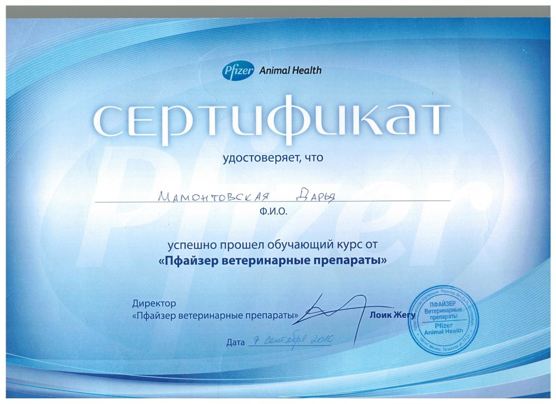 Документ или сертификат