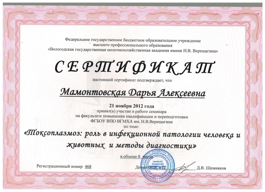 Документ или сертификат