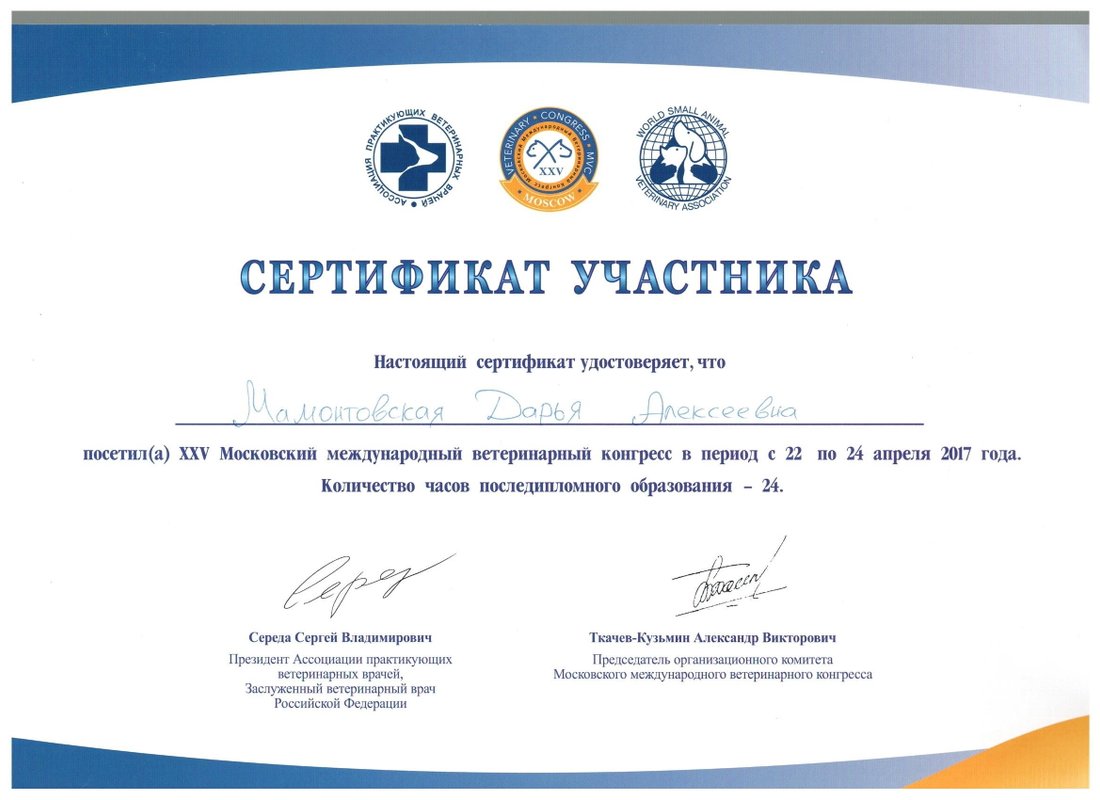 Документ или сертификат