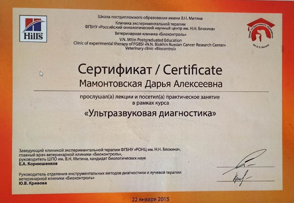 Документ или сертификат