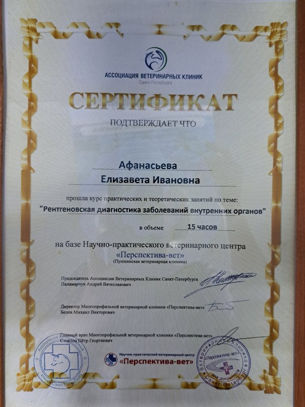 Документ или сертификат
