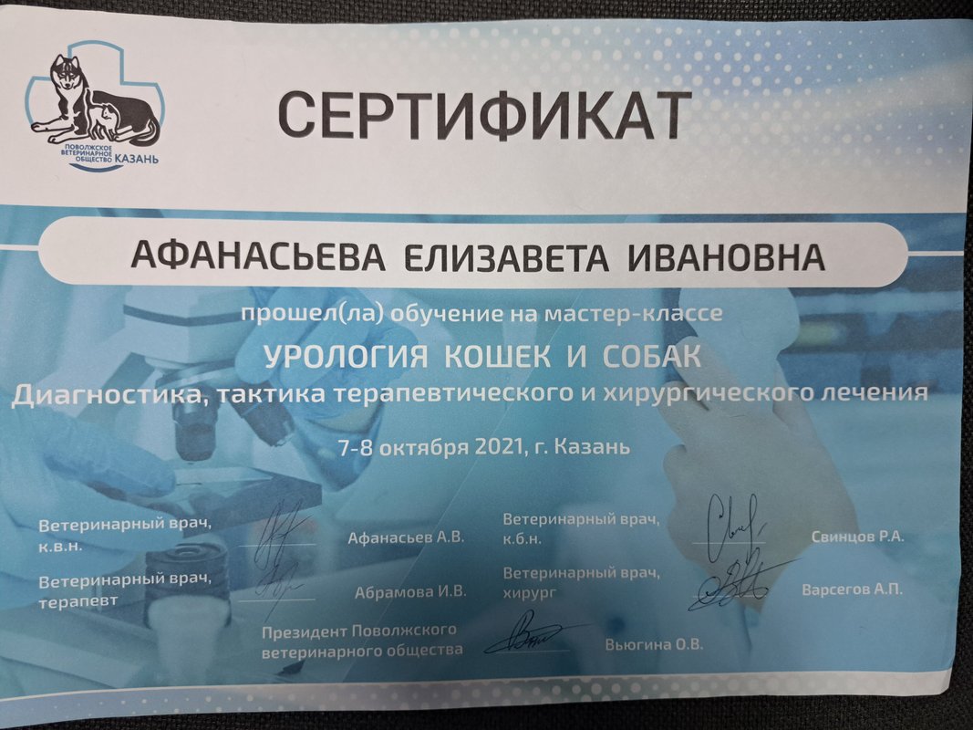 Документ или сертификат