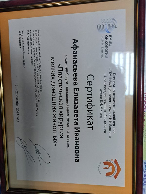 Документ или сертификат
