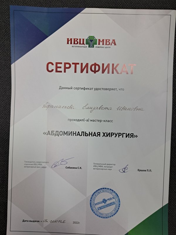 Документ или сертификат