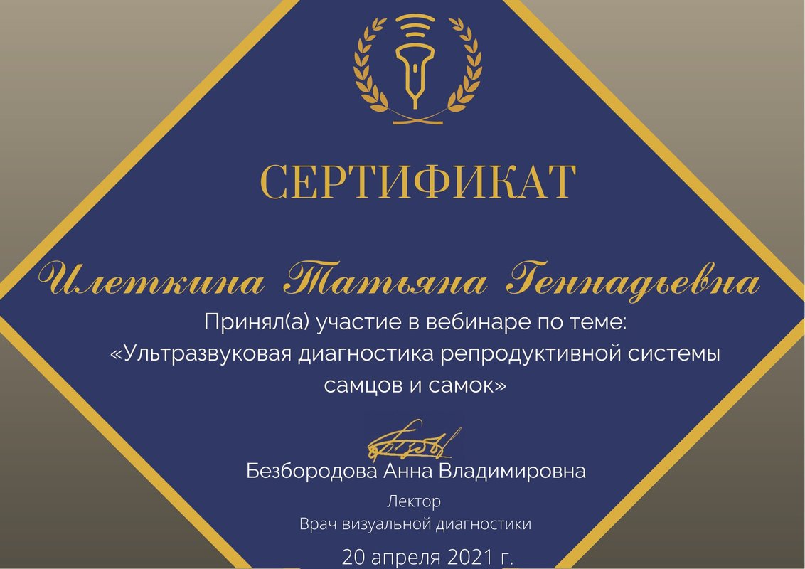 Документ или сертификат