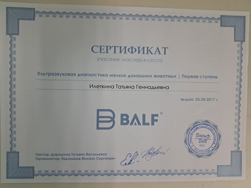 Документ или сертификат