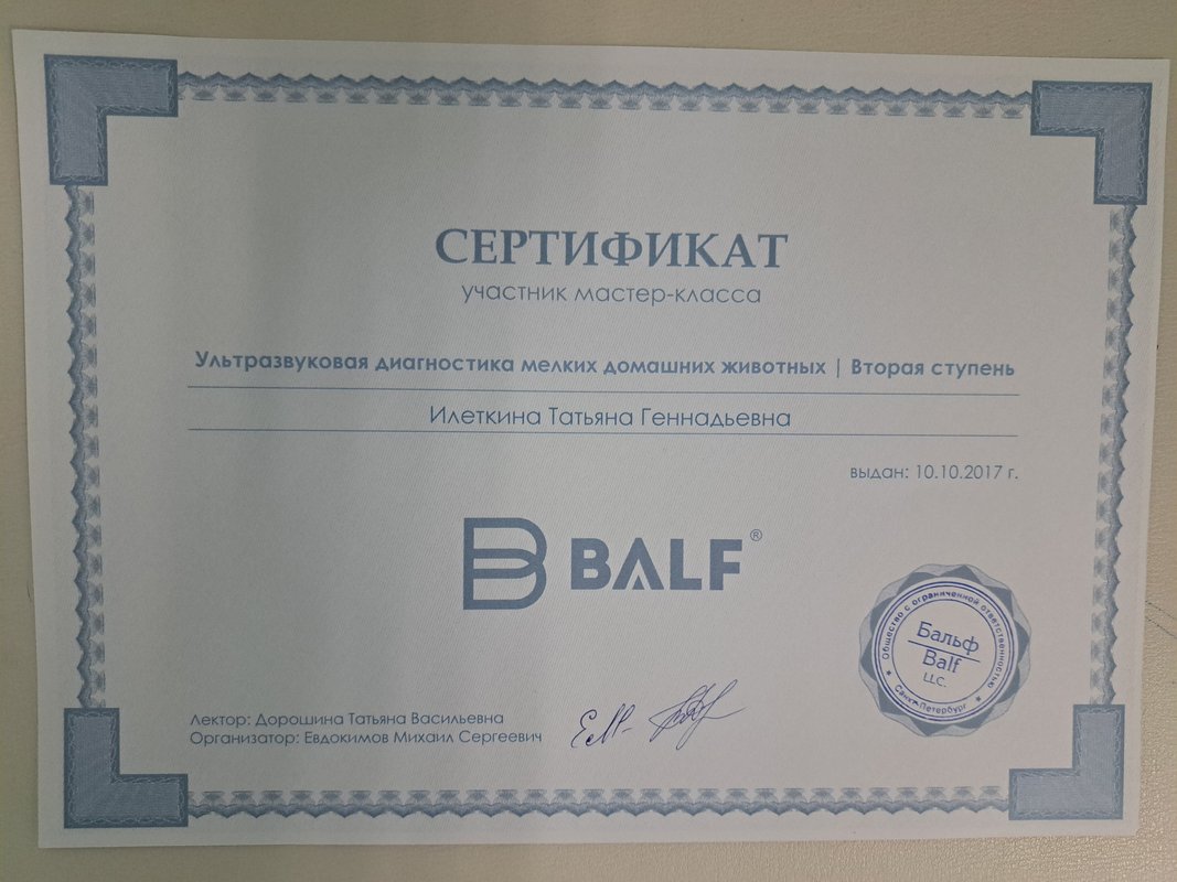 Документ или сертификат