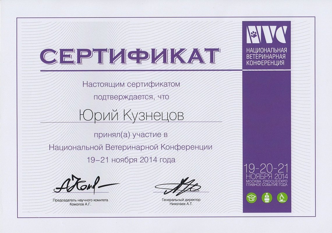 Документ или сертификат