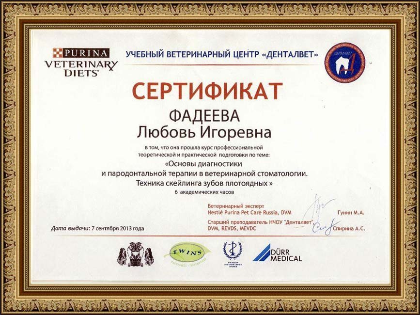 Документ или сертификат