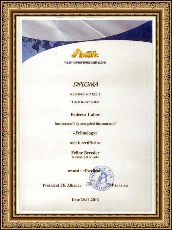 Документ или сертификат