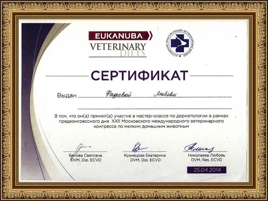 Документ или сертификат