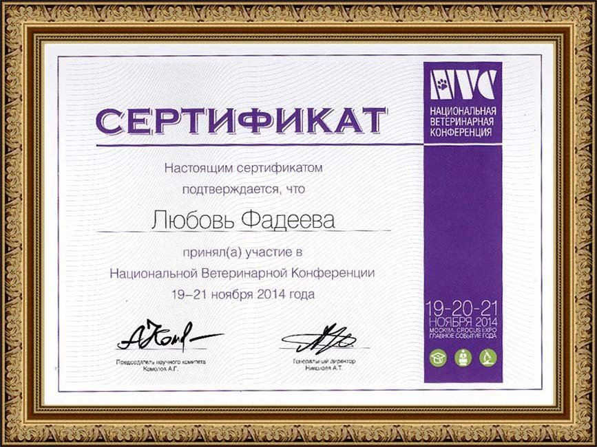 Документ или сертификат