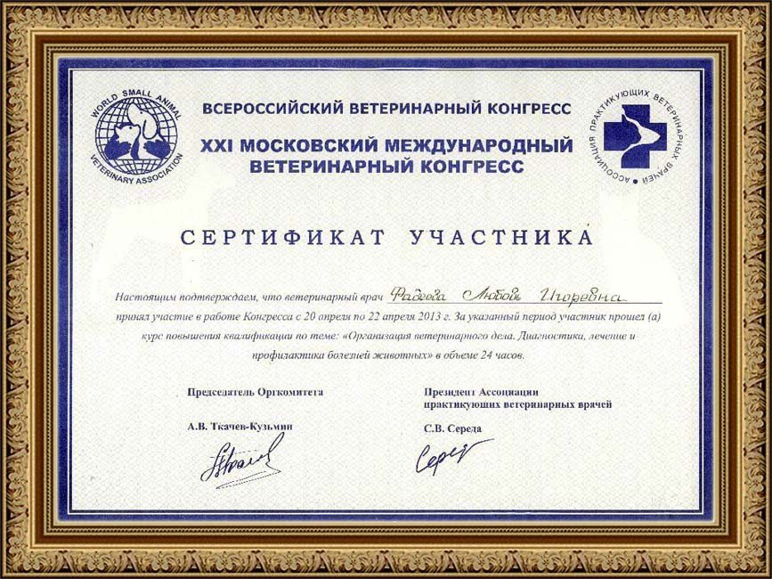 Документ или сертификат