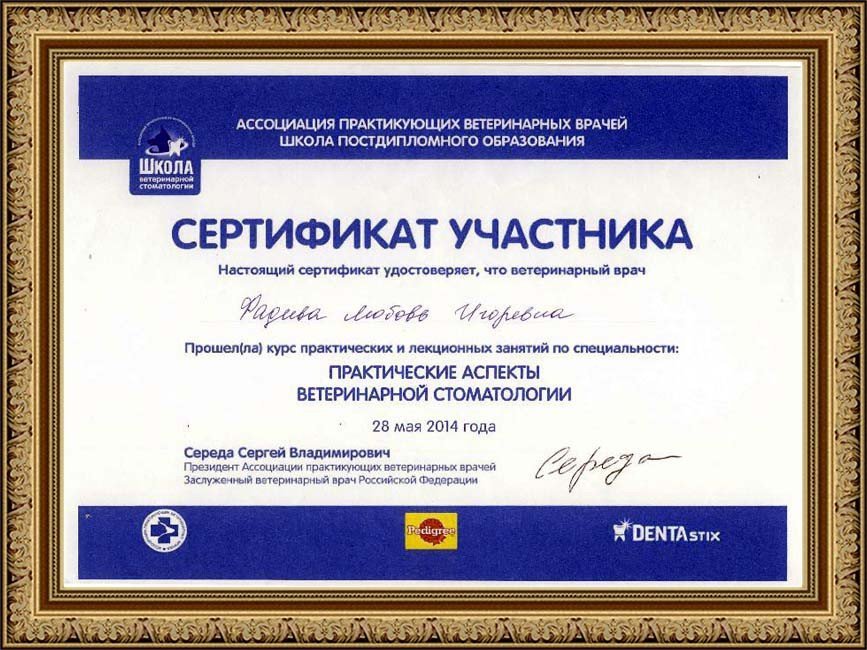 Документ или сертификат