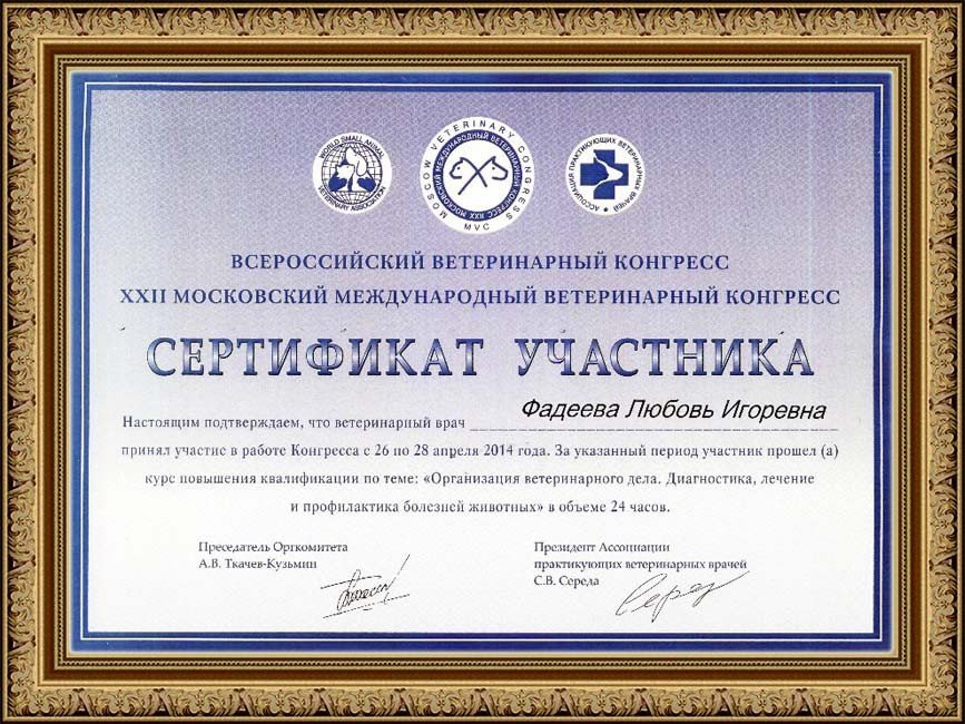 Документ или сертификат