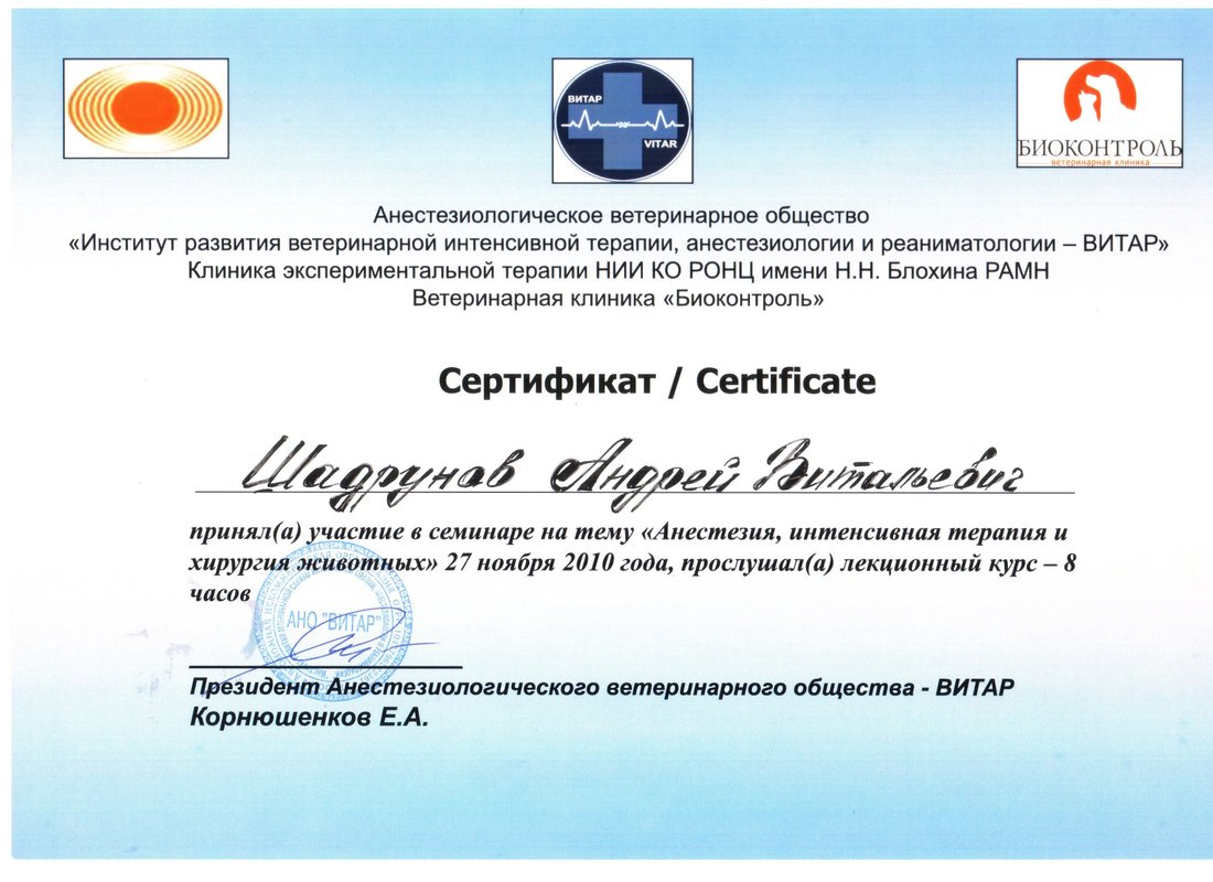 Документ или сертификат