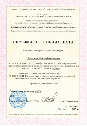 Документ или сертификат