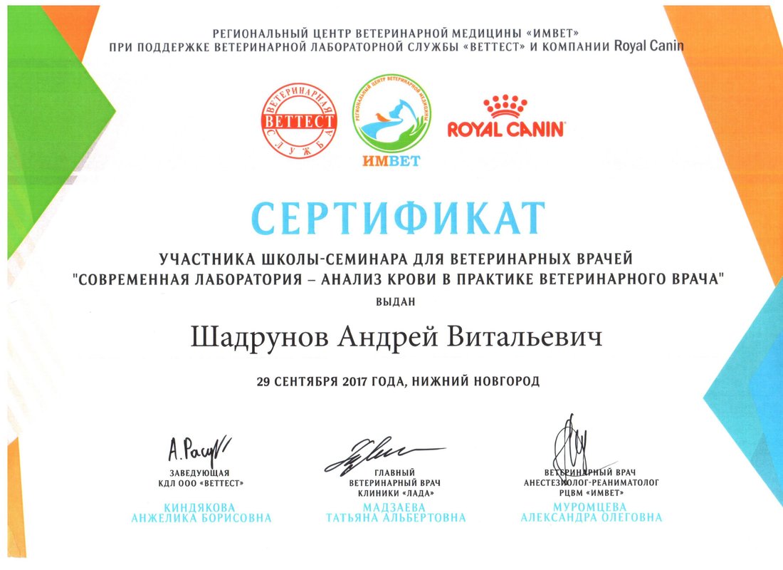 Документ или сертификат