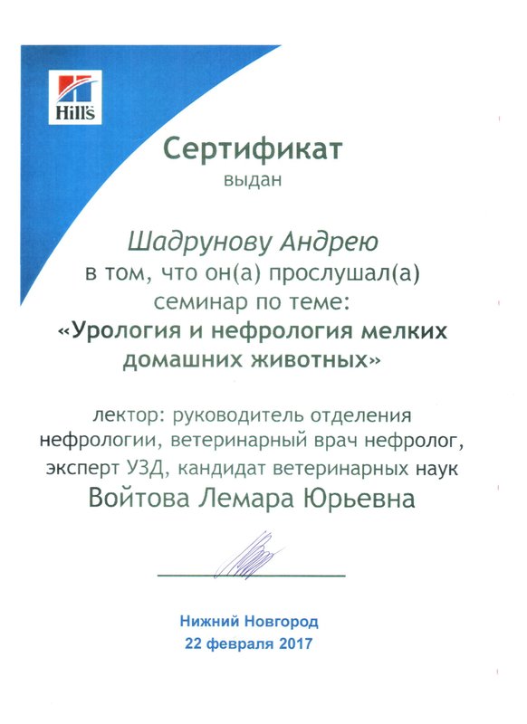 Документ или сертификат