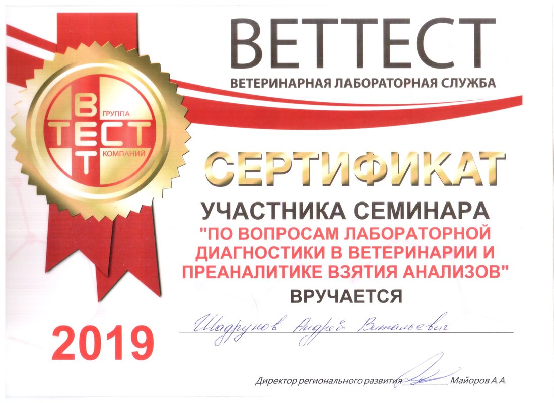 Документ или сертификат