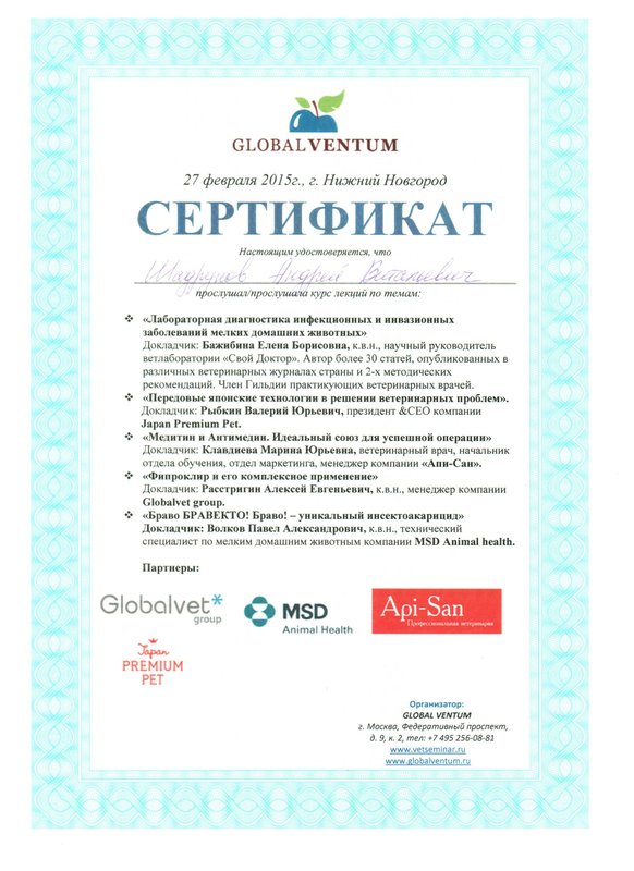 Документ или сертификат