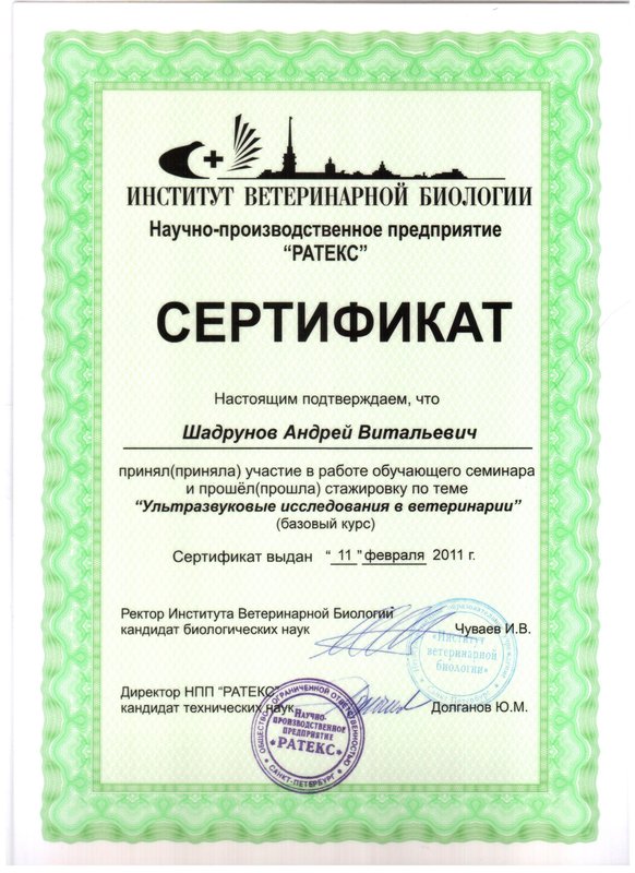 Документ или сертификат