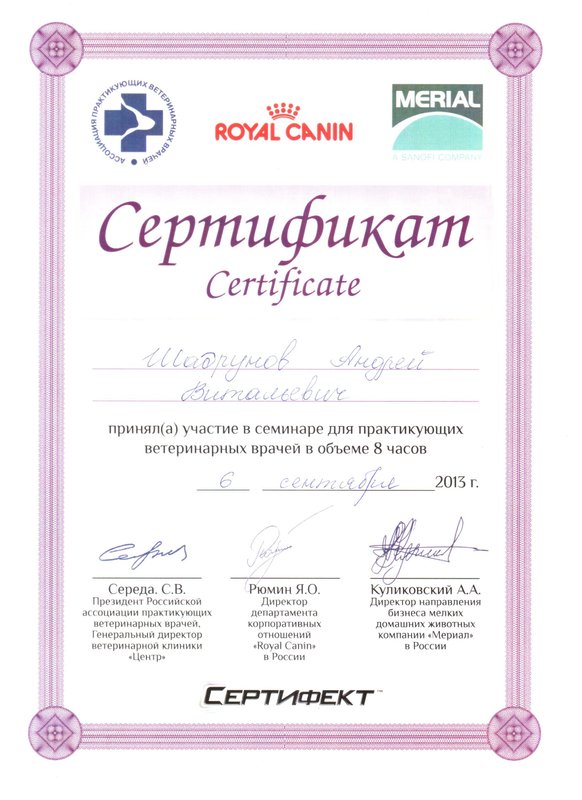 Документ или сертификат