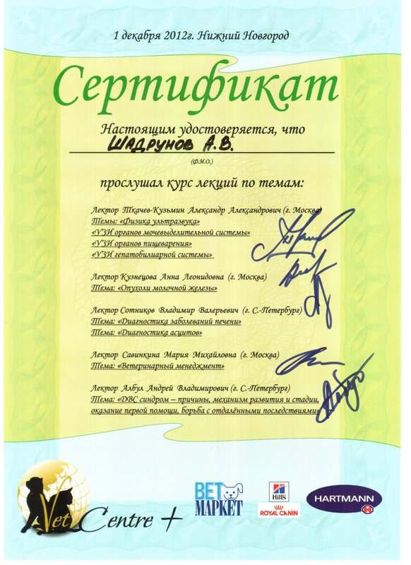 Документ или сертификат