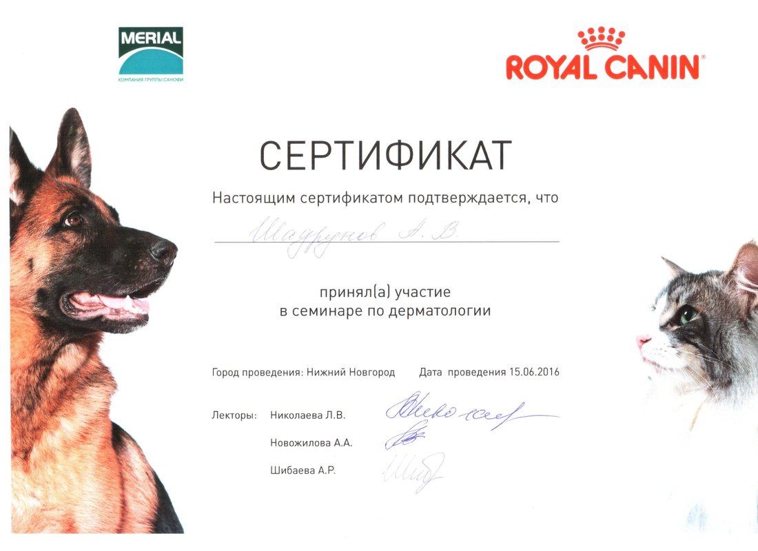 Документ или сертификат