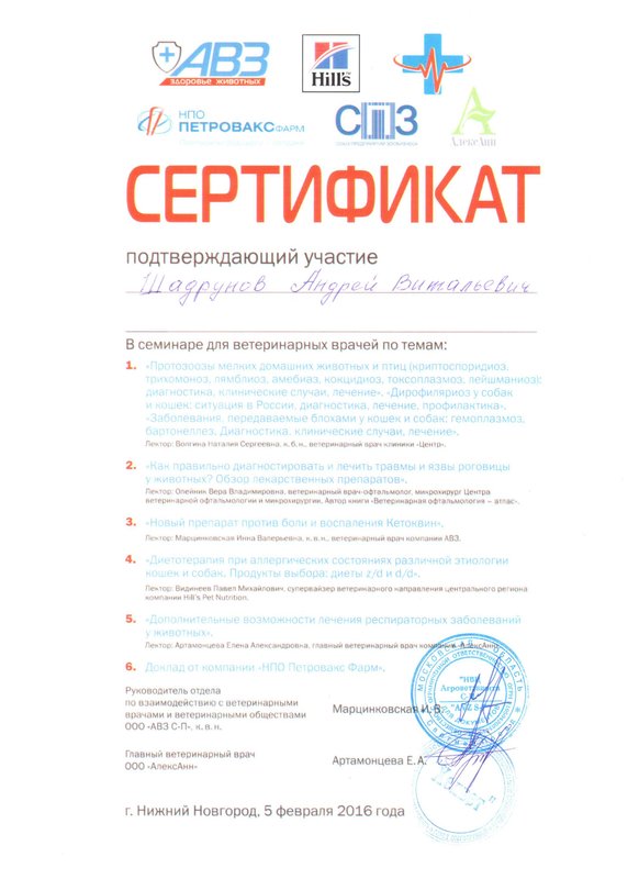 Документ или сертификат