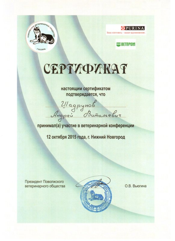 Документ или сертификат