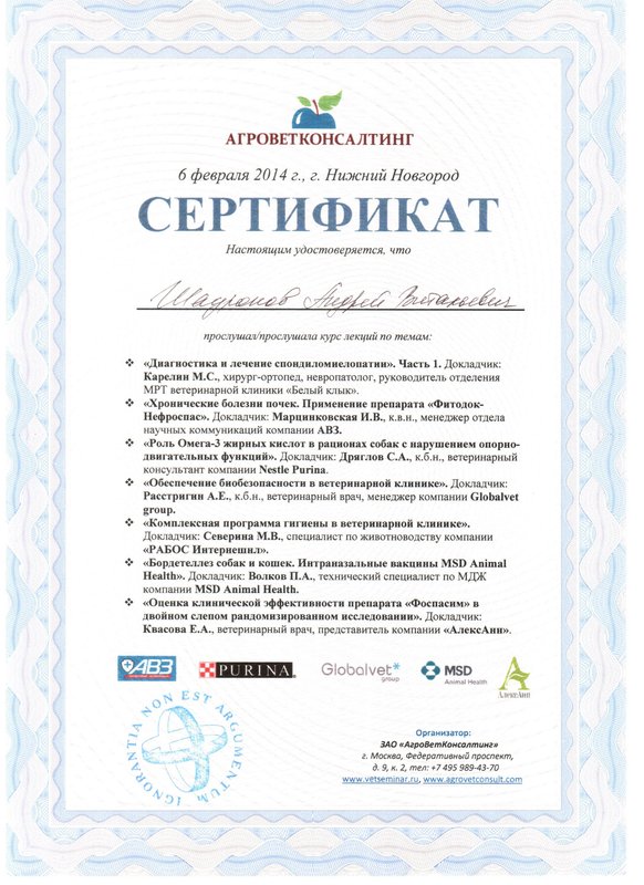 Документ или сертификат