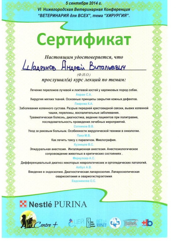 Документ или сертификат