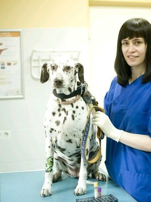 Фото врача Овчарук Оксана Анатольевна