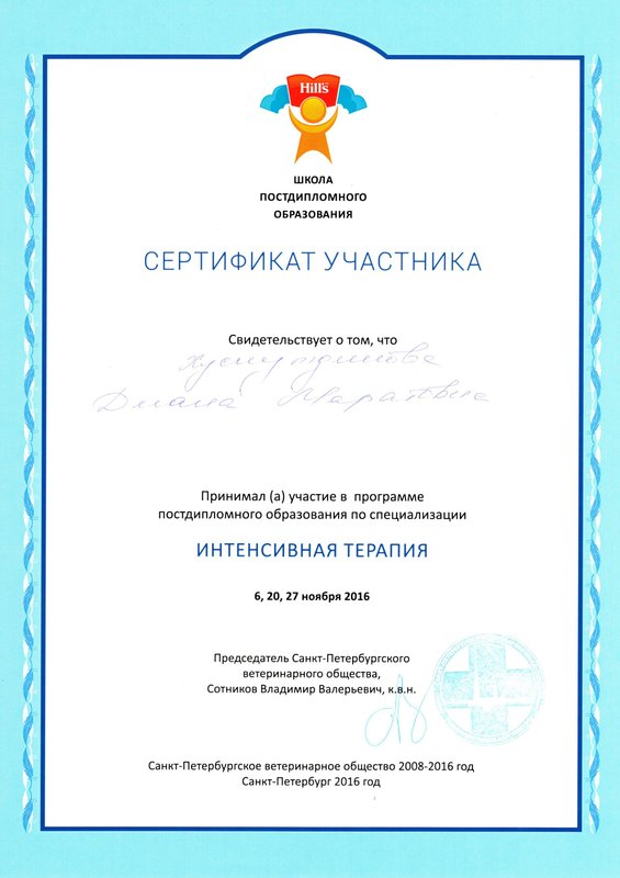Документ или сертификат