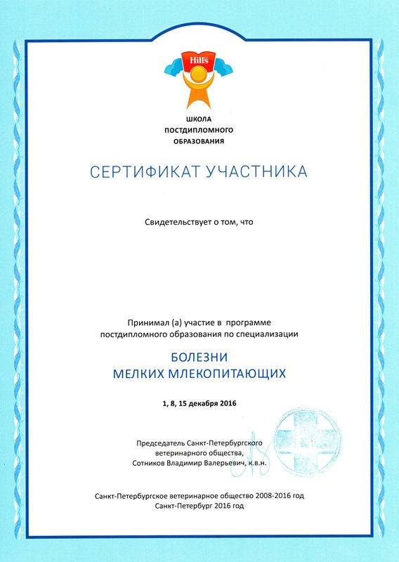 Документ или сертификат