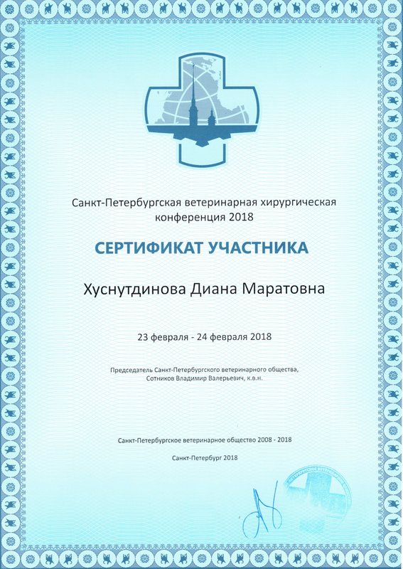 Документ или сертификат