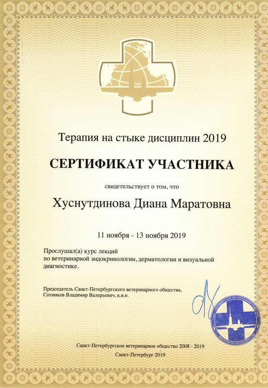 Документ или сертификат