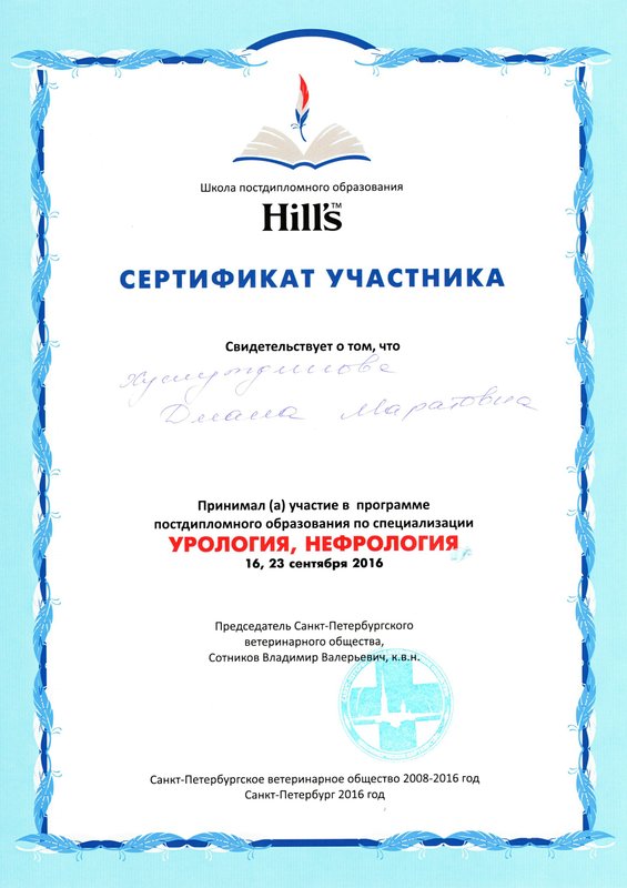 Документ или сертификат