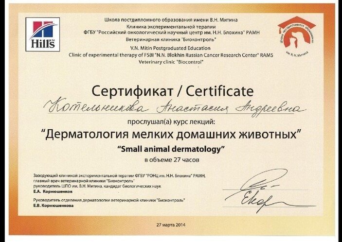 Документ или сертификат