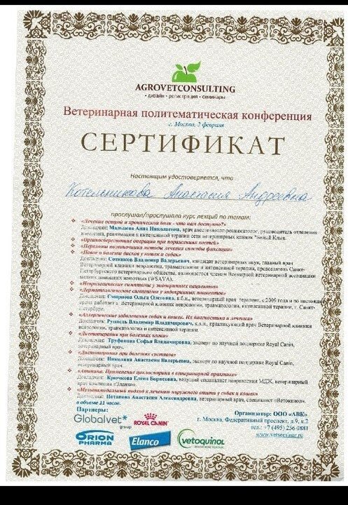 Документ или сертификат
