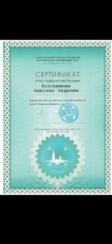 Документ или сертификат