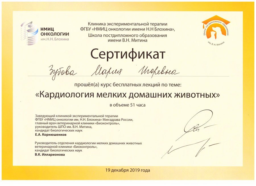 Документ или сертификат