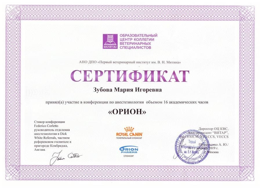 Документ или сертификат