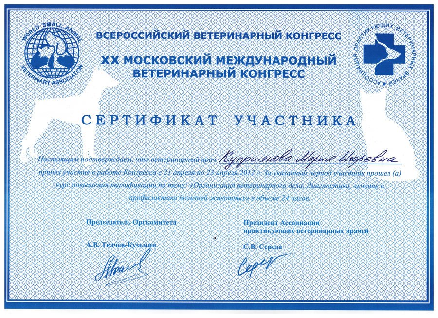 Документ или сертификат