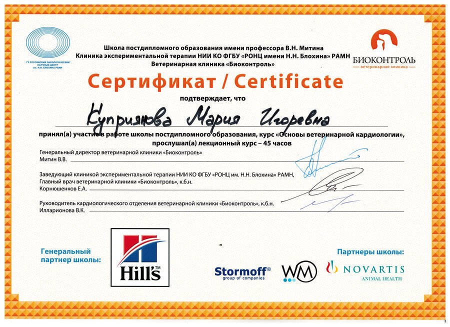 Документ или сертификат