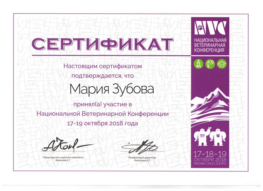 Документ или сертификат