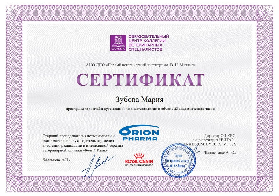Документ или сертификат